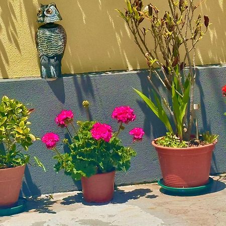 São Vicente Terra Cha Cottage,Feel Home, מראה חיצוני תמונה